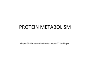 protein metabolism - cmb