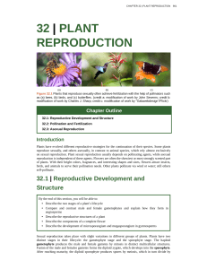 32 | plant reproduction - Open Textbooks Project