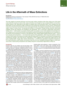 Life in the Aftermath of Mass Extinctions