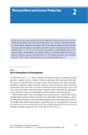 Photosynthesis and Sucrose Production