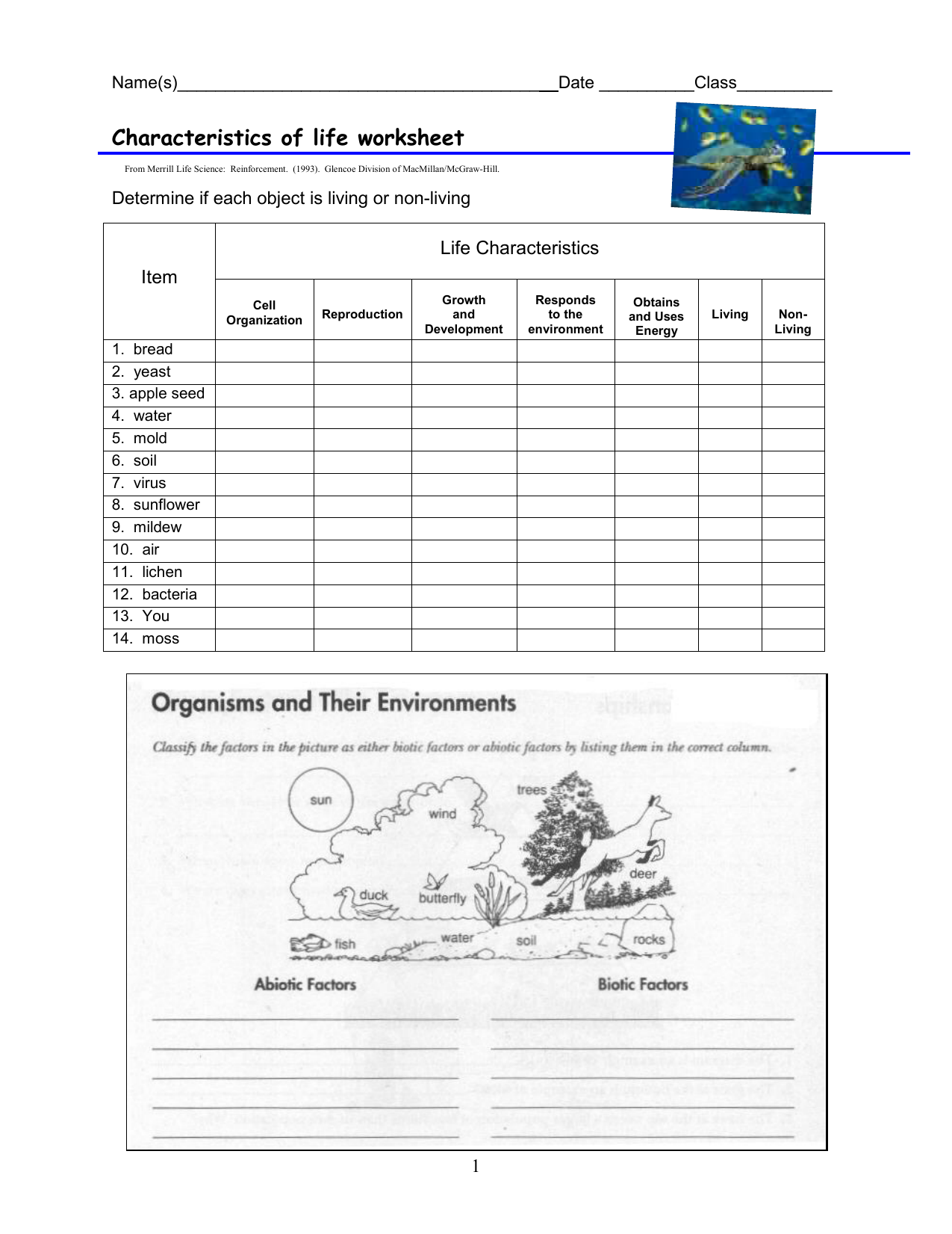 Characteristics Of Life Worksheet