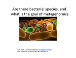 Are there bacterial species, and what is the goal of metagenomics