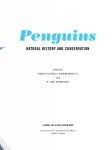 Penguins - The Peregrine Fund