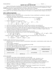 semester two review sheet