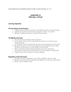 CHAPTER 12 THE CELL CYCLE