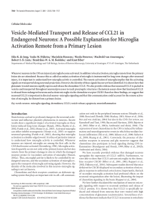 Vesicle-Mediated Transport and Release of