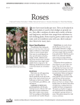 ID-118: Roses - UK College of Agriculture