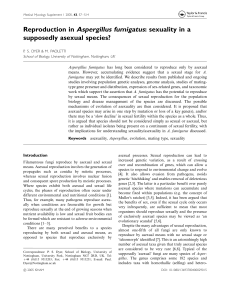 Reproduction in Aspergillus fumigatus: sexuality
