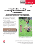 Selective Bird Feeding - University of Nebraska–Lincoln