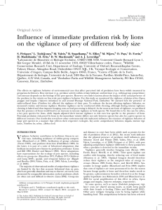 Influence of immediate predation risk by lions on