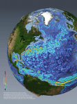This snapshot shows the ocean currents at a depth of 75 meters, as