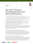 The role of boron in flowering and fruit, nut and seed formation