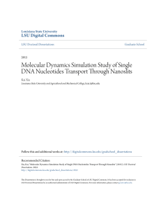 Molecular Dynamics Simulation Study of Single DNA Nucleotides