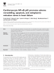 Cardiomyocyte NF-kB p65 promotes adverse remodelling, apoptosis