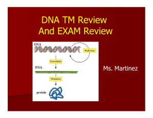DNA TM Review And EXAM Review