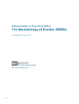 The Neurobiology of Ecstasy (MDMA)
