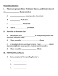 Plant Classification Notes Handouts