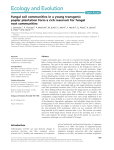 Fungal soil communities in a young transgenic poplar plantation