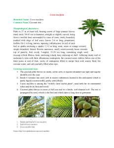 Cocos nucifera Botanical Name: Cocos nucifera Common Name