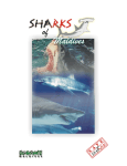 The word shark comes from the German word “Schurke” which