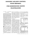 powdery mildew control with benomyl for greenhouse