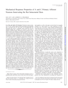 Mechanical Response Properties of A and C Primary Afferent