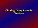 Cloning Using Plasmid Vectors