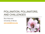 Pollinators - Illinois Specialty Growers Association