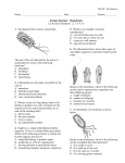 Chapter 1 - Organisms MCAS Questions