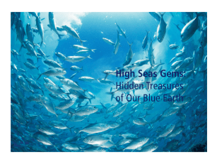 High Seas Gems - Marine Conservation Biology Institute