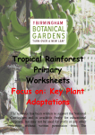 Tropical Rainforest Primary Worksheets Focus on: Key Plant