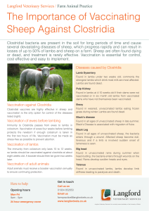 Clostridia in Sheep - Langford Veterinary Services