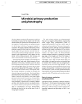 Chapter 4: Microbial primary production and phototrophy