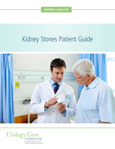 Kidney Stones Patient Guide