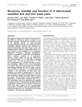 Structure, stability and function of 5-chlorouracil