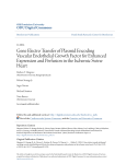 Gene Electro Transfer of Plasmid Encoding Vascular Endothelial