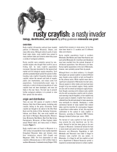 rusty crayfish:a nasty invader - the National Sea Grant Library