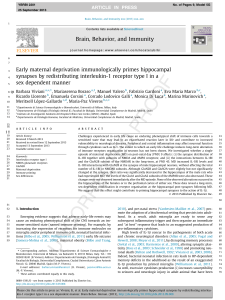 Early maternal deprivation immunologically primes