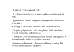 generalized animal cell