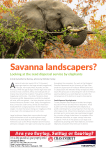 Savanna landscapers?
