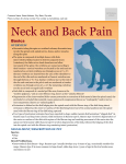 Neck And Back Pain - Millikenanimalclinic.com