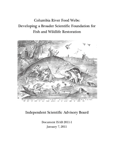 Columbia River Food Web Report