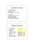 Quantitative Genetics Polygenic inheritance