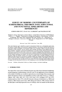 survey of modern counterparts of schizochroal trilobite eyes