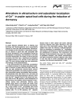 Alterations in ultrastructure and subcellular