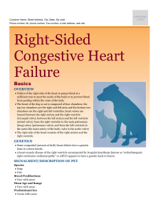 right-sided_congestive_heart_failure
