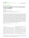 Anatomical adaptations of four Crassula species to water availability