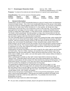 Biol 11 - Grasshopper Dissection Guide text (p. 334