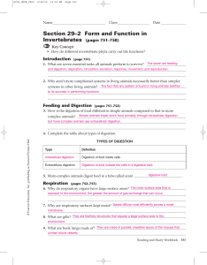 Section 29–2 Form and Function in