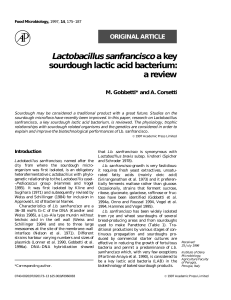 Lactobacillus sanfrancisco a key sourdough lactic acid bacterium: a